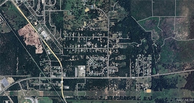 1255 E Bluebird Ct, Hernando, FL 34442 - photo 3