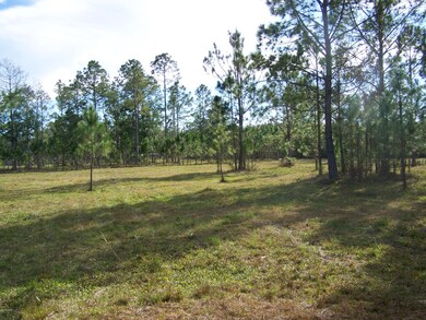 6020 Logger Creek Rd 003