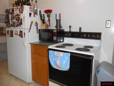 419 N Franklin St, New Ulm, MN 56073 - photo 5