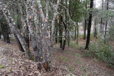 516 Pyle Dr, Grants Pass, OR 97527 - photo 6