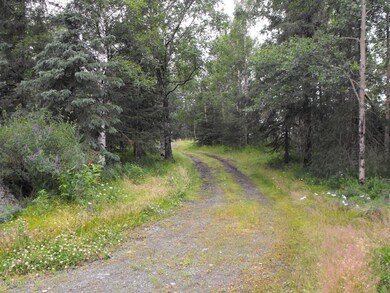 DSCF0017