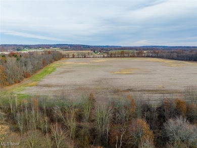 12160 Harvey Cir, Chippewa Township, OH 44270 - photo 2