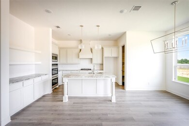 1012 Monaco Ct, Springtown, TX 76082 - photo 6