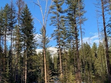 mountain views