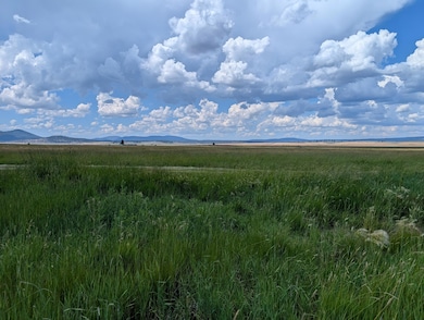 PXL_20250702_213551817