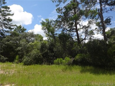 0 SW 175th Loop unit 775011, Ocala, FL 34473 - photo 4