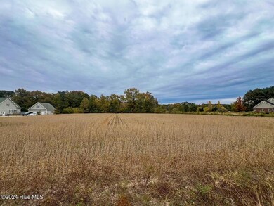 IMG_3505
