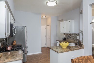 1521 Spaulding Rd unit 455, Bartlett, IL 60103 - photo 4