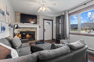 Living room with a baseboard radiator, a mountain