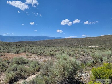 Lot 2 Gold Valley Dr unit Lot 2, Salmon, ID 83467 - photo 3