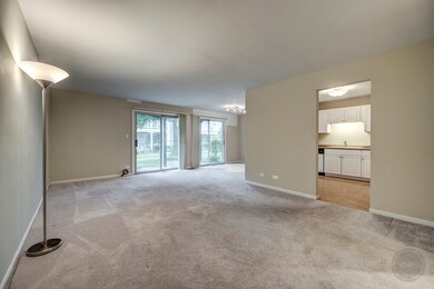 50 Plymouth Ct unit 5102B, Naperville, IL 60565 - photo 6