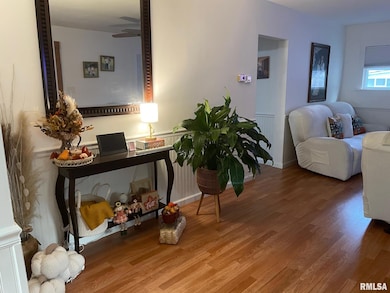 302 2nd St, Carmi, IL 62821 - photo 5