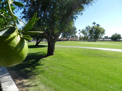BACK YARD VIEW ON GOLF COURSE