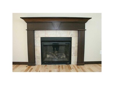 Fireplace.