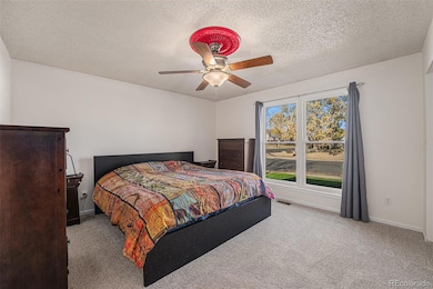 9106 Clermont Dr, Thornton, CO 80229 - photo 7