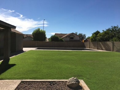 Lush Green Grass!