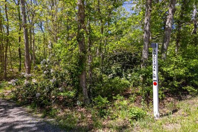 382 Edg. - VH Road, Edgartown-web-3