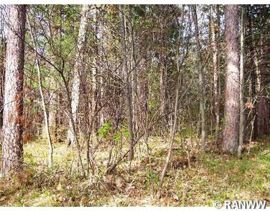 0 Hwy A unit 879438, Webster, WI 54893 - photo 4