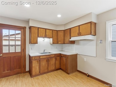 1811 E Marshall St, Ferndale, MI 48220 - photo 4