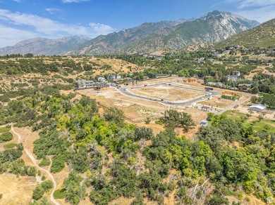 View of mountain background