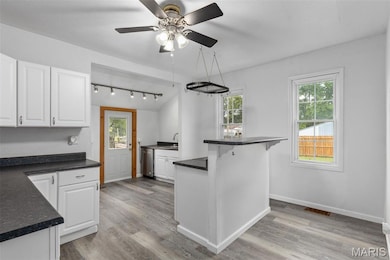 204 S Railroad St, Medora, IL 62063 - photo 4