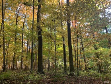 TBD Dupont Rd, Fort Wayne, IN 46818 - photo 6