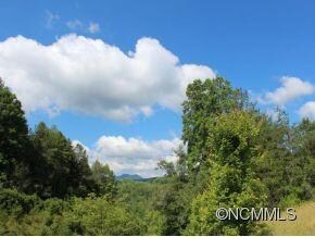 unlisted-address, Leicester, NC 28748 - photo 6