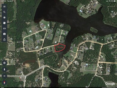 Google earth view