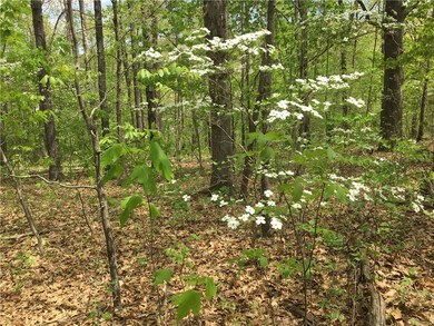 Lot 11 Ford Ln, Bella Vista, AR 72714 - photo 6