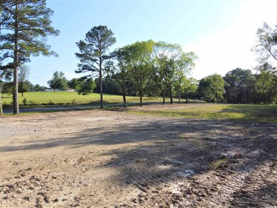 000 Arkridge Cir, Hot Springs, AR 71913 - photo 7