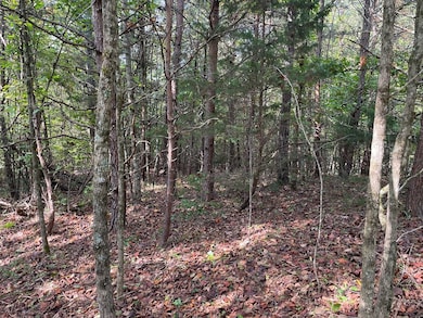 00 Country Walk, Franklin, NC 28734 - photo 5