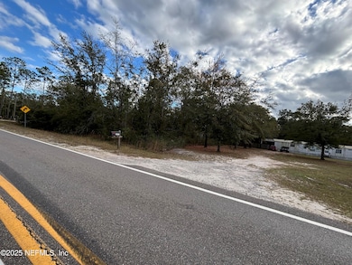 4667 Peppergrass St, Middleburg, FL 32068 - photo 6