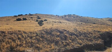 0 Rough Rd unit SR25202411, Palmdale, CA 93550 - photo 3