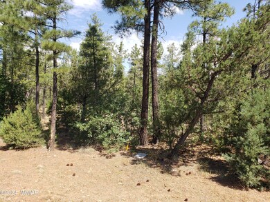 4750 W Acer Ln, Show Low, AZ 85901 - photo 6