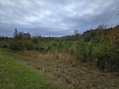 0 E Highway 378 unit SPN331032, McCormick, SC 29385 - photo 2