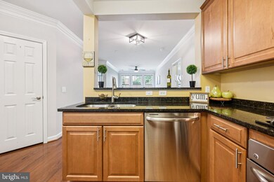 Dominion Heights unit 107, Arlington, VA 22207 - photo 6