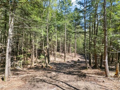 0 Old Ledge Rd unit 4950217, Westminster, VT 05346 - photo 4