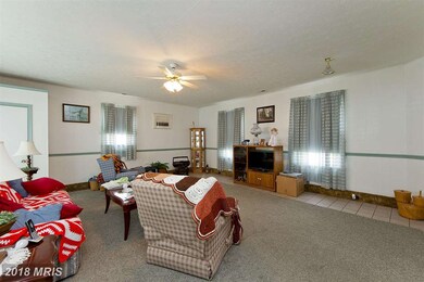 300 Dicks Hollow Rd, Winchester, VA 22603 - photo 4