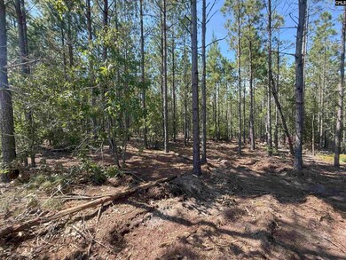 KF 4 State Road S-28-354 unit KF 4, Kershaw, SC 29067 - photo 4