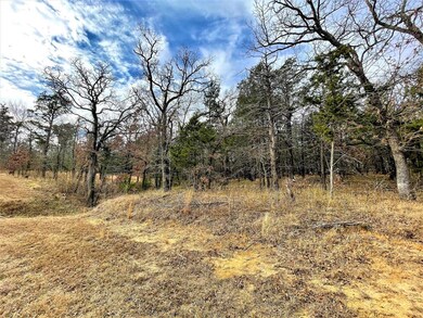 Lot 12B Castle Pines Cir, Gordonville, TX 76245 - photo 3
