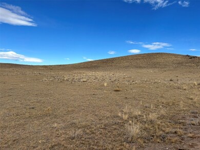 3779 Uxta Trail, Hartsel, CO 80449 - photo 6