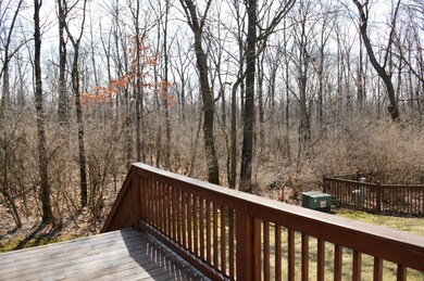 Wooded Lot