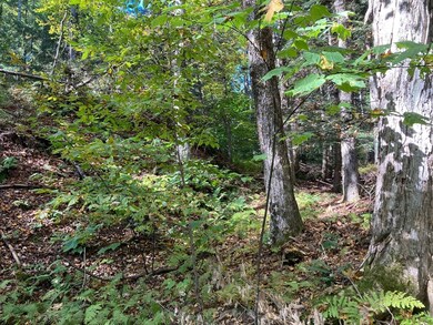 0 Maxwell Rd unit 73272836, Charlemont, MA 01339 - photo 4