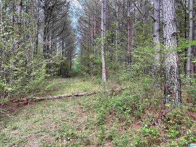 0 Bud Cummings Rd unit 42 1350945, Roanoke, AL 36274 - photo 3