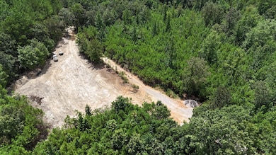 1476 Major Hill Rd, Bethel Springs, TN 38315 - photo 7