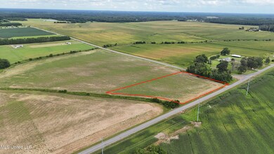 01 N Sandhill Rd, Lena, MS 39094 - photo 7