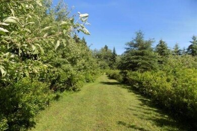 694 Summerhill Rd, Walden, VT 05873 - photo 3