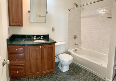 764 Tremont St unit 3, Boston, MA 02118 - photo 5