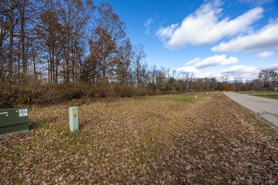 6226 Dublin Dr, Canadian Lakes, MI 49346 - photo 2