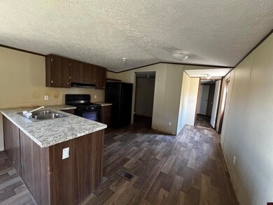 1016 Arkansas 223, Pineville, AR 72566 - photo 4